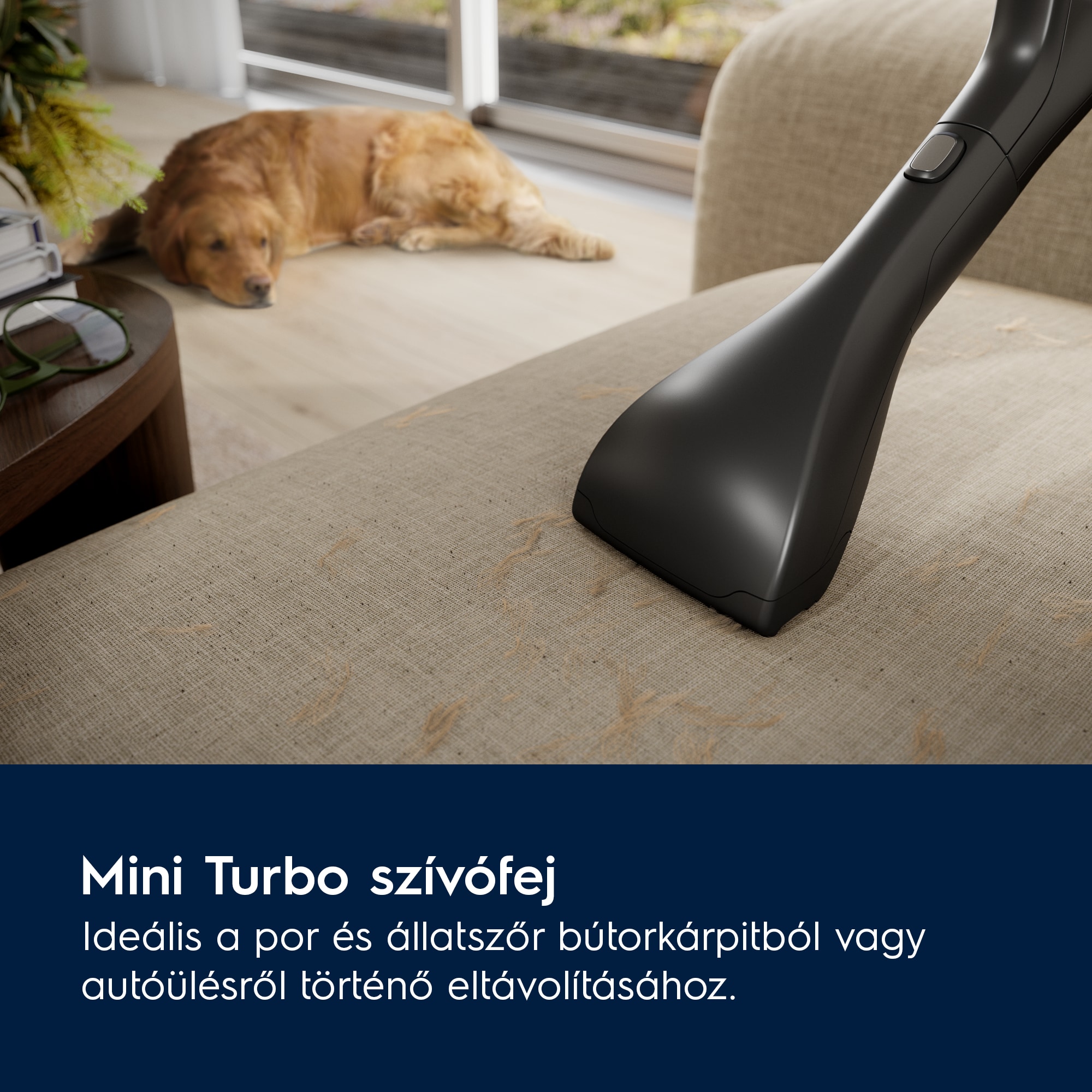 Electrolux - Porzsákos porszívó - EB81A3UG