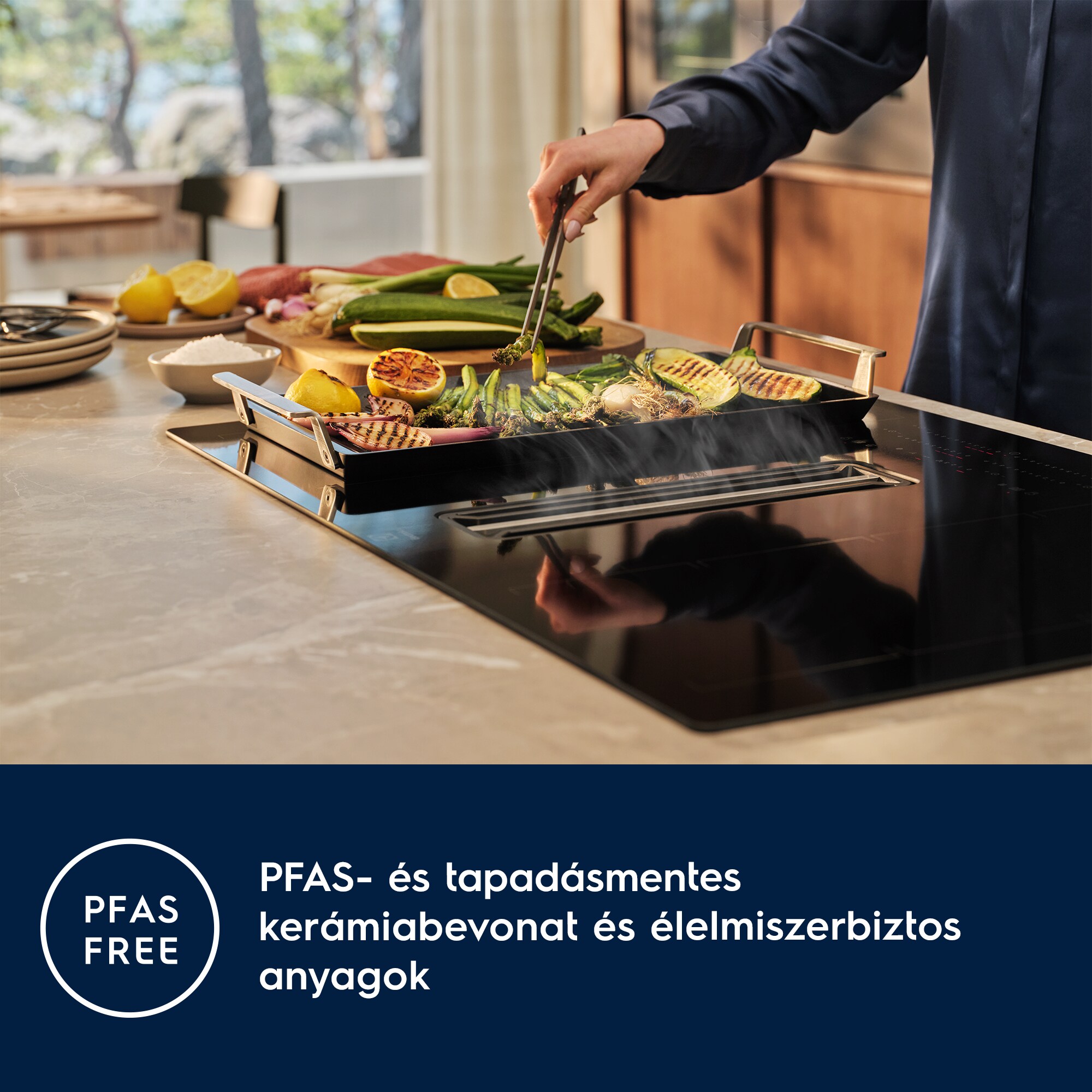 Electrolux - Plancha grill - E9HHPG11