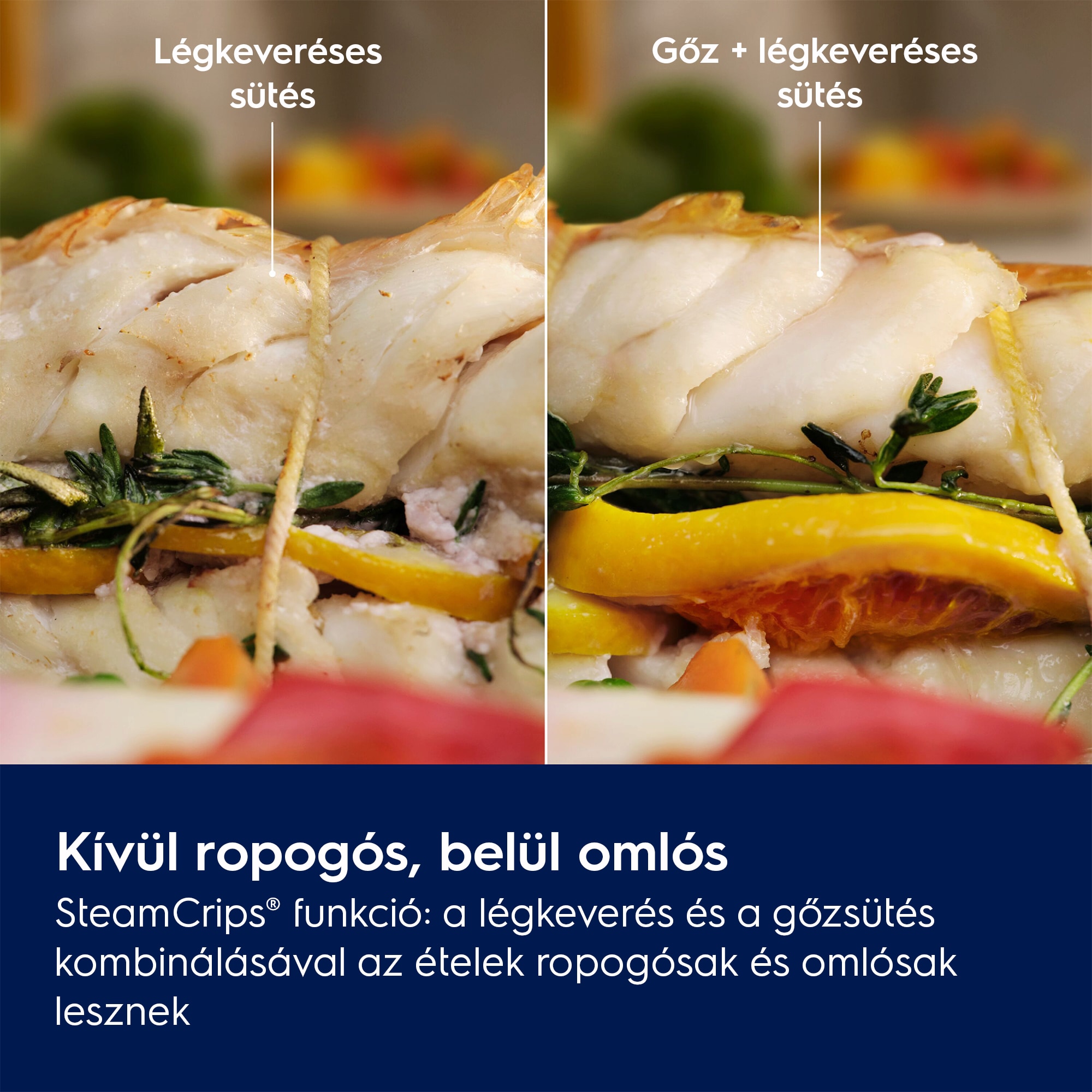 Electrolux - Gőzsütő - LOC9P3XZ
