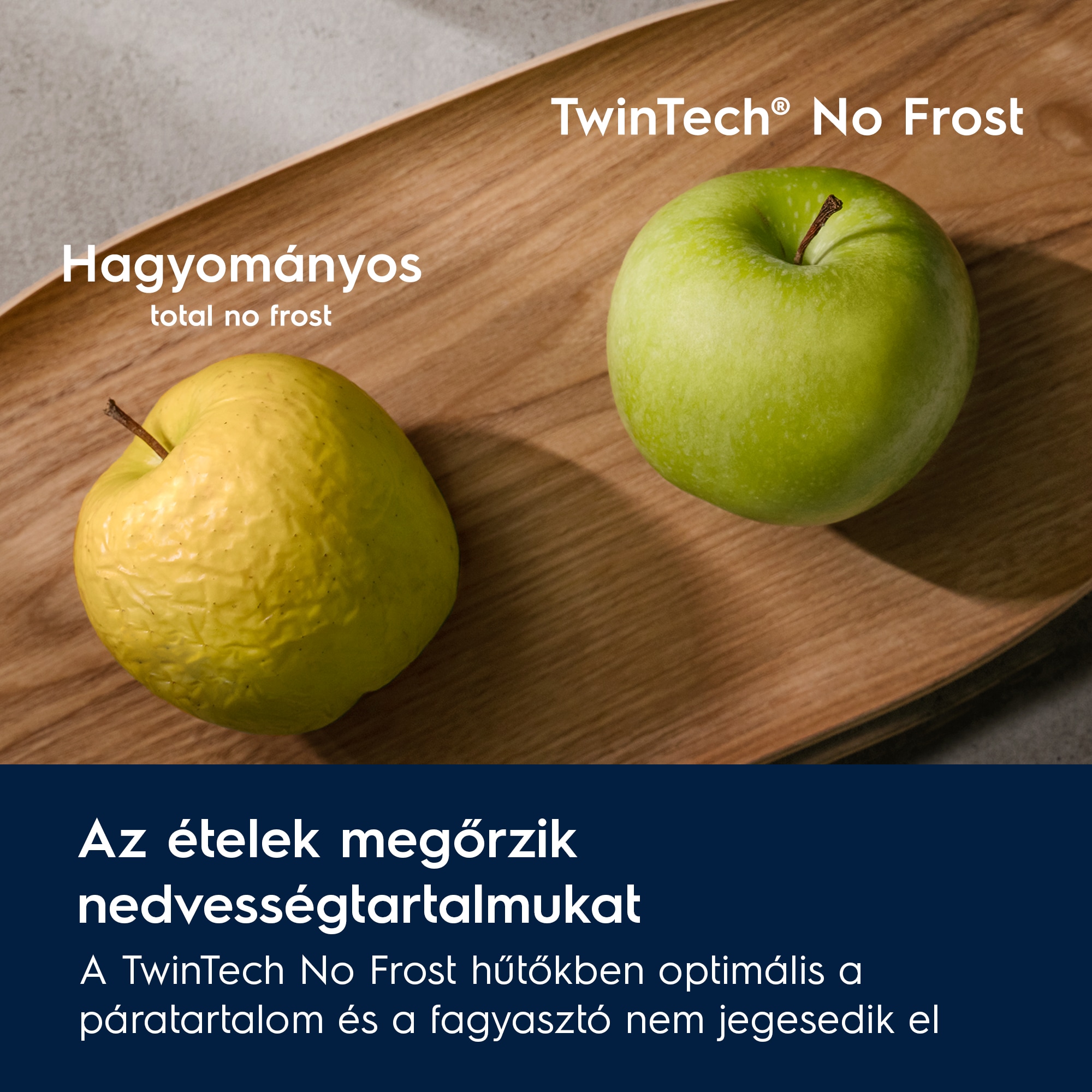 Electrolux - Szabadonálló kombinált hűtő-fagyasztó - LNT5ME36U1