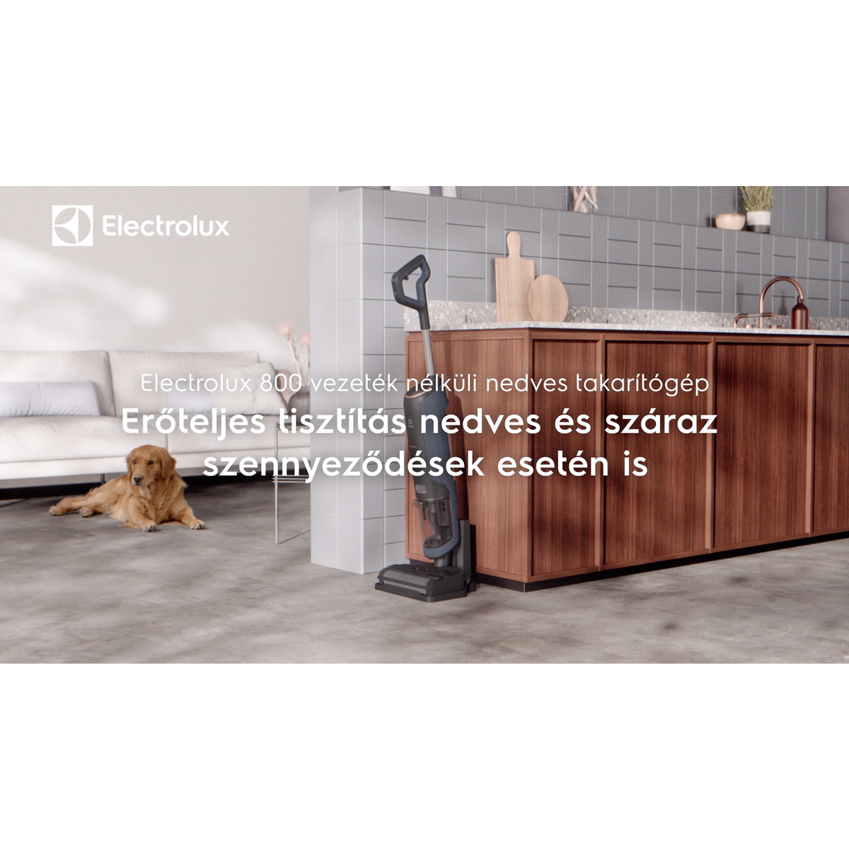 Electrolux - Vezeték nélküli nedves takarítógép - EW81U3DB
