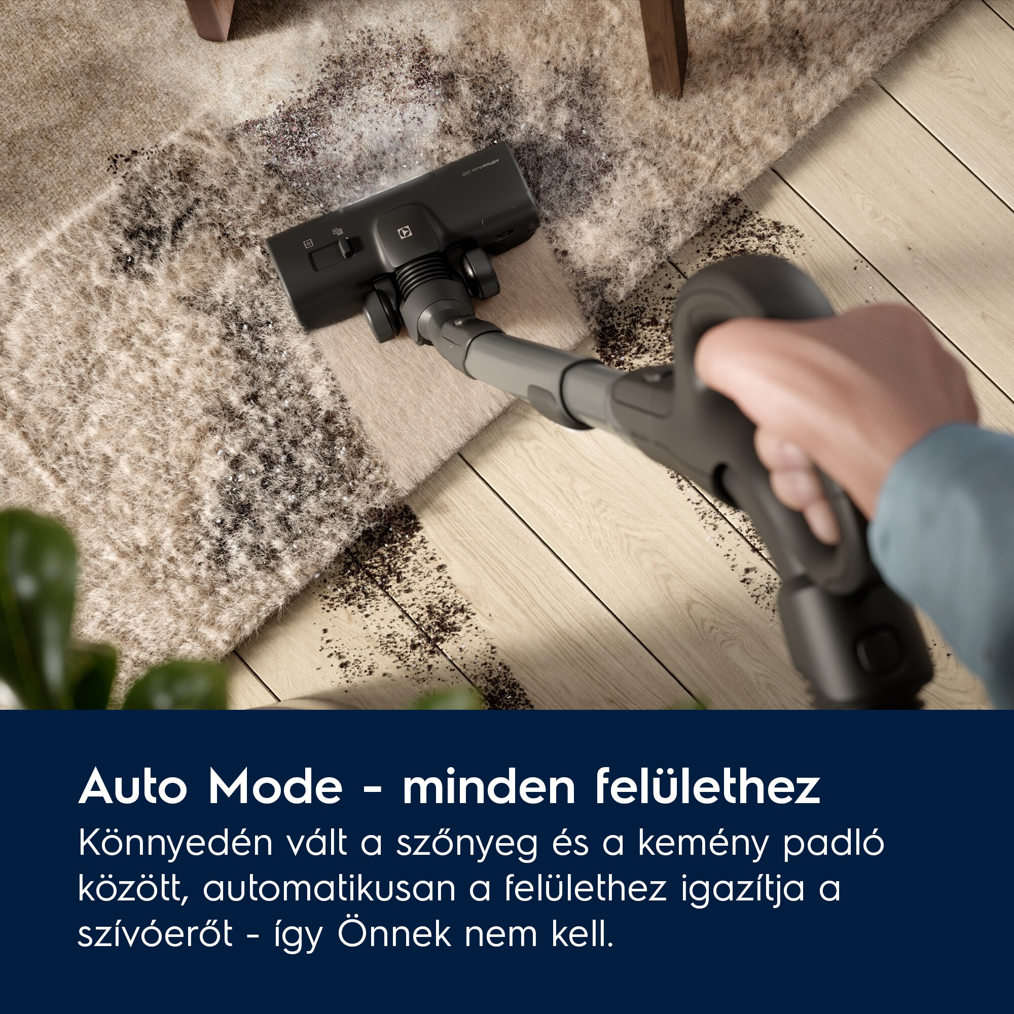 Electrolux - Porzsákos porszívó - EB81U1WB