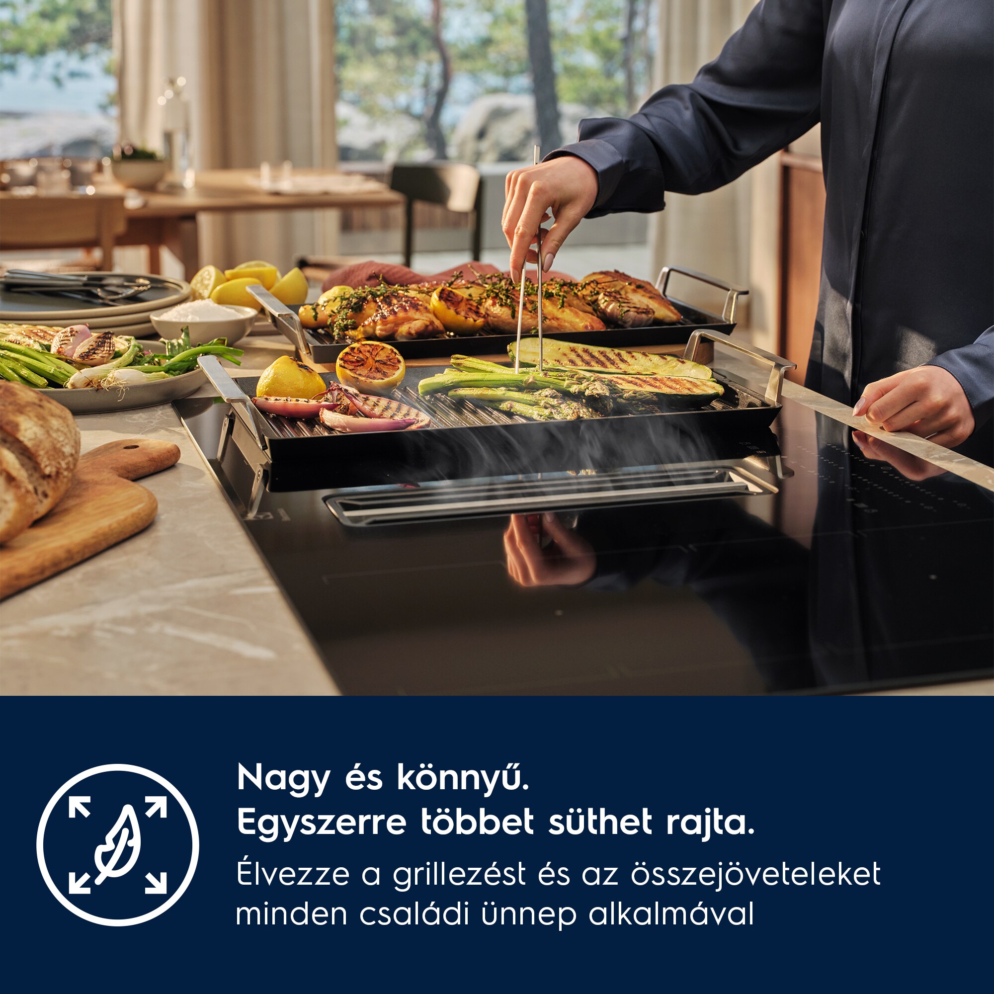 Electrolux - Plancha grill - E9HHPG11