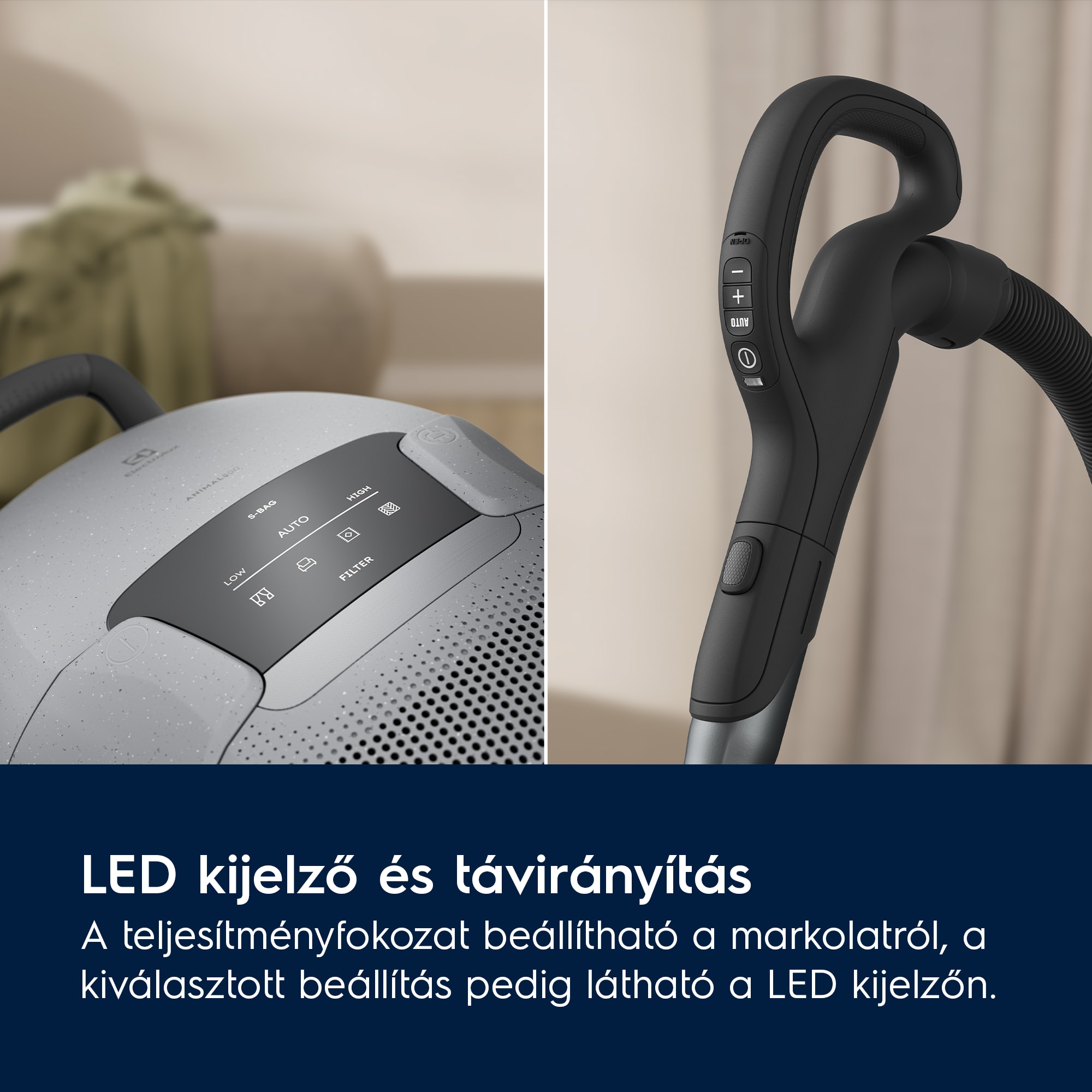 Electrolux - Porzsákos porszívó - EB81A3UG