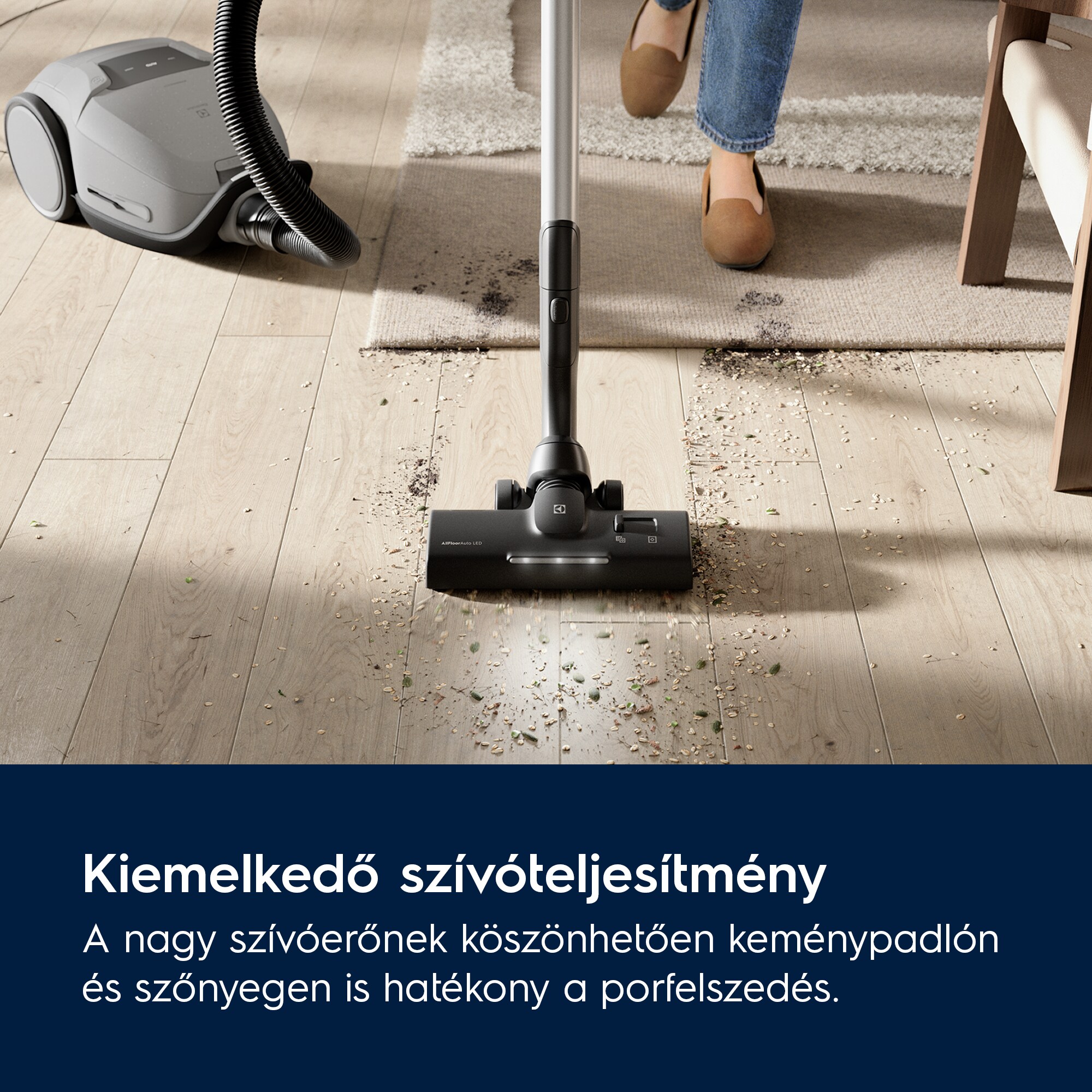 Electrolux - Porzsákos porszívó - EB81A3UG