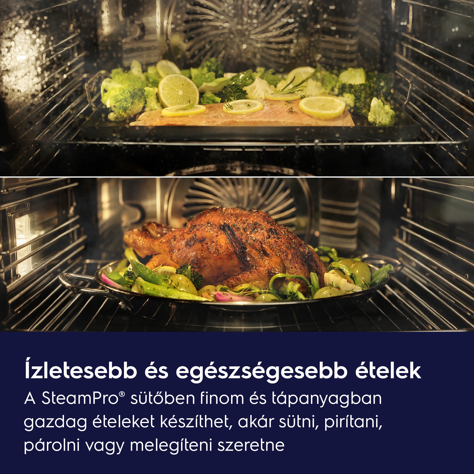 Electrolux - Gőzsütő - LOB8S38Z