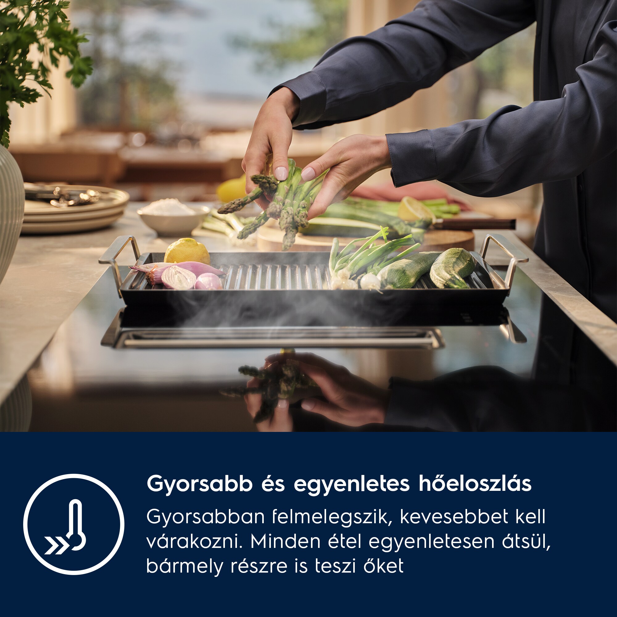 Electrolux - Plancha grill - E9HHPG11