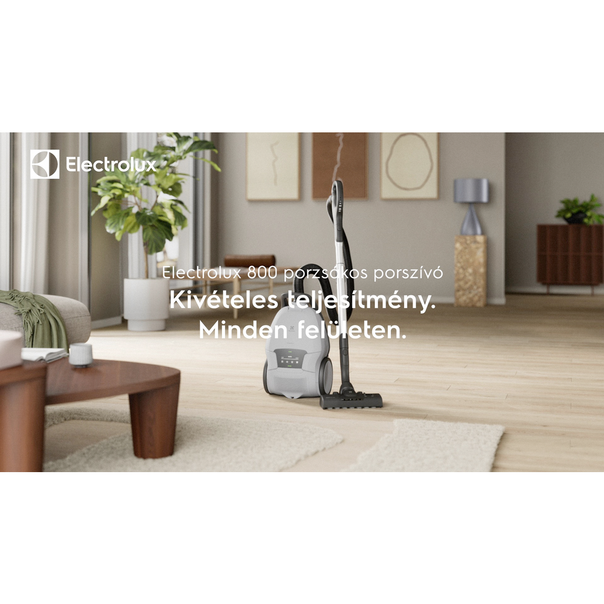 Electrolux - Porzsákos porszívó - EB81A3UG