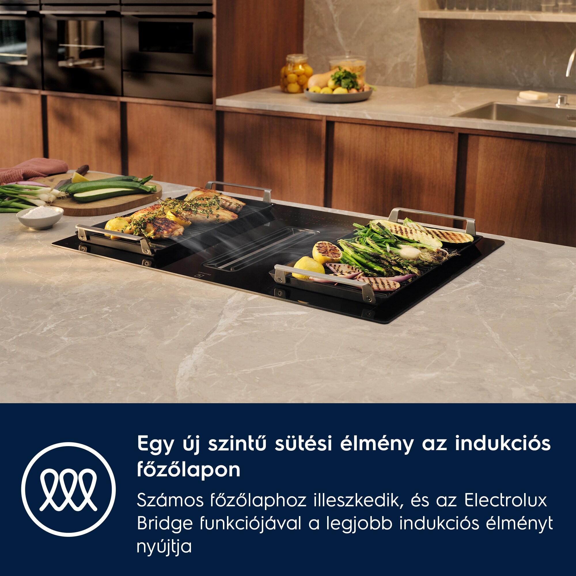 Electrolux - Plancha grill - E9HHPG11