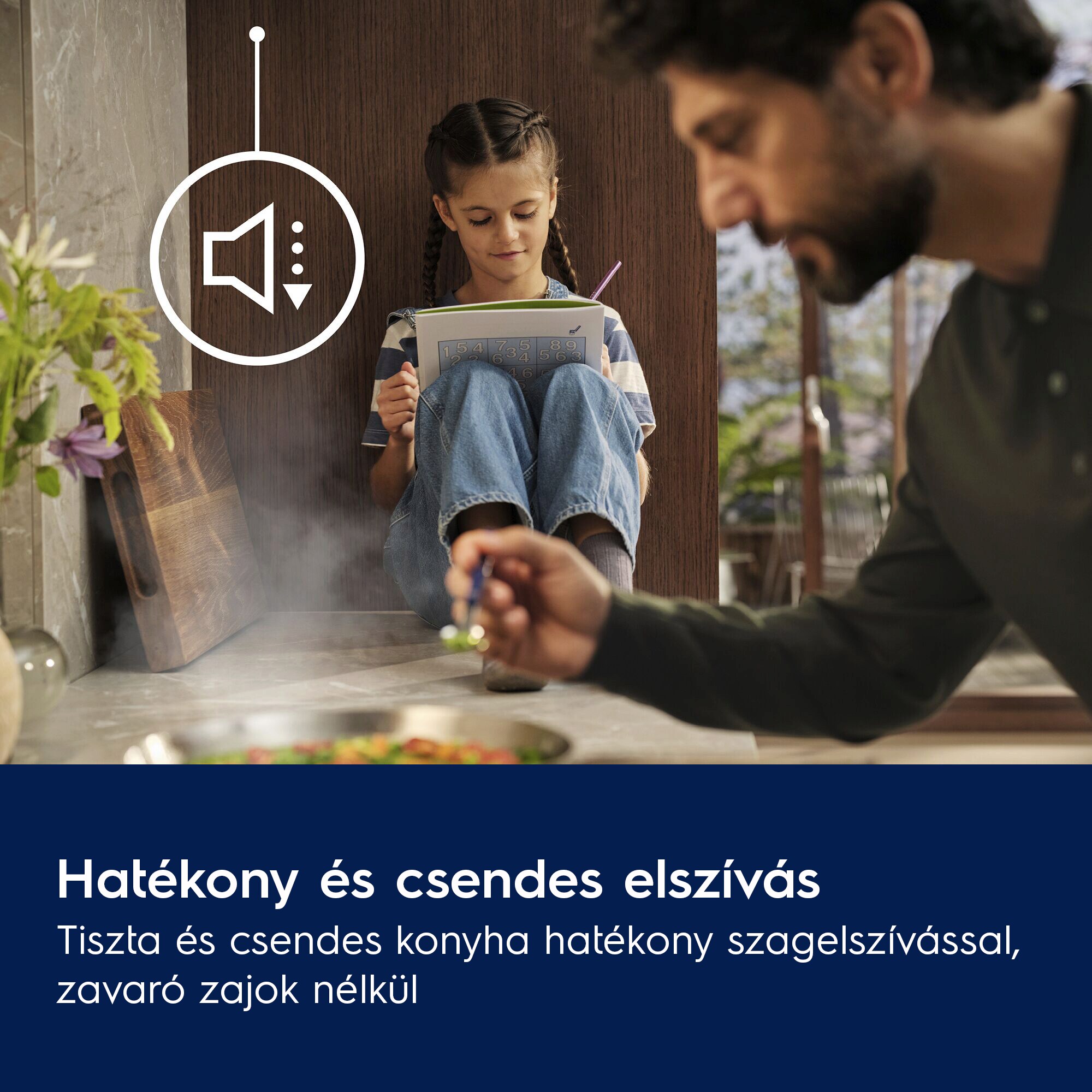 Electrolux - Sziget páraelszívó - KFIB19X