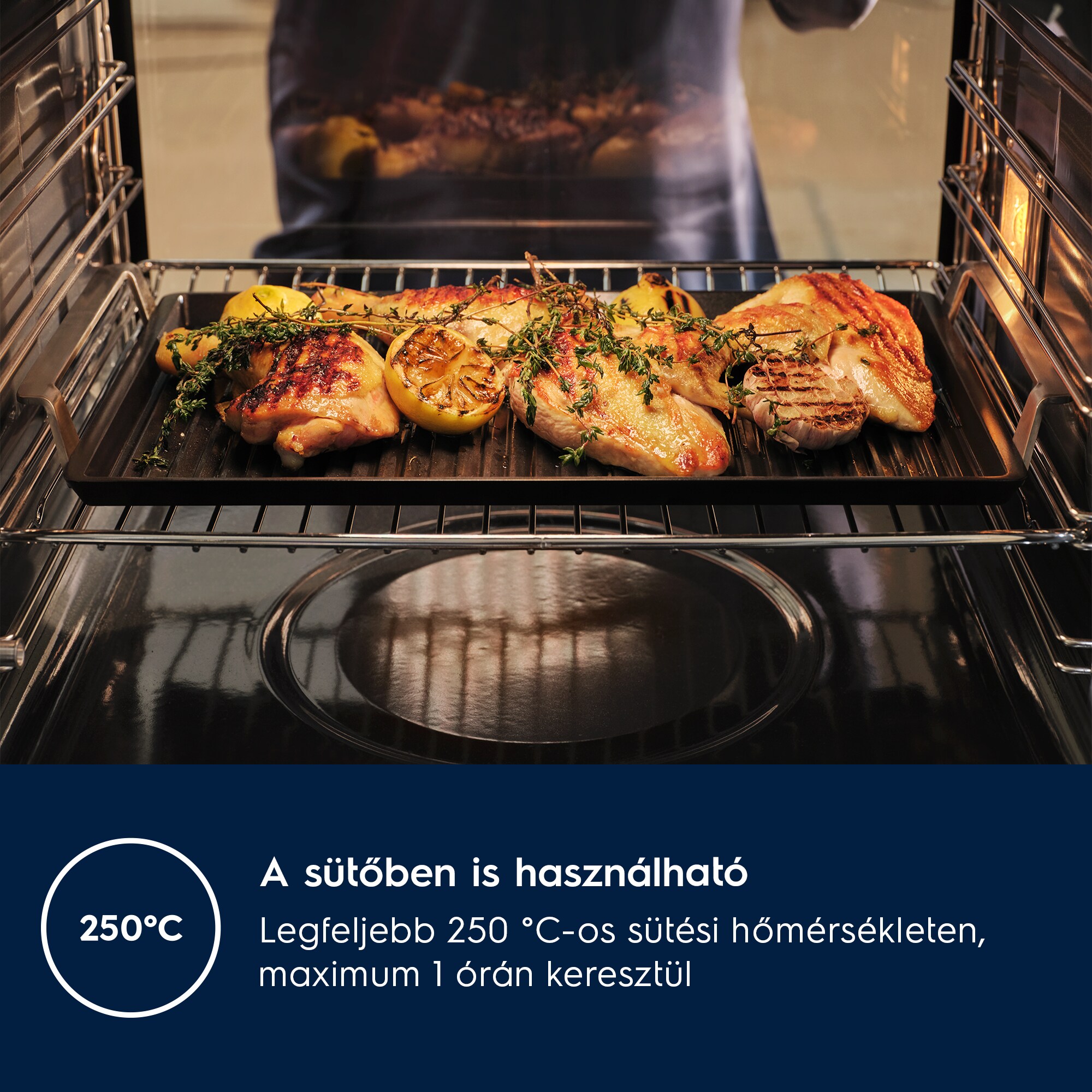 Electrolux - Plancha grill - E9HHPG11
