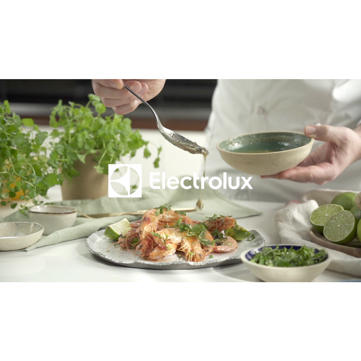 Electrolux - Sótégla - E2SLT