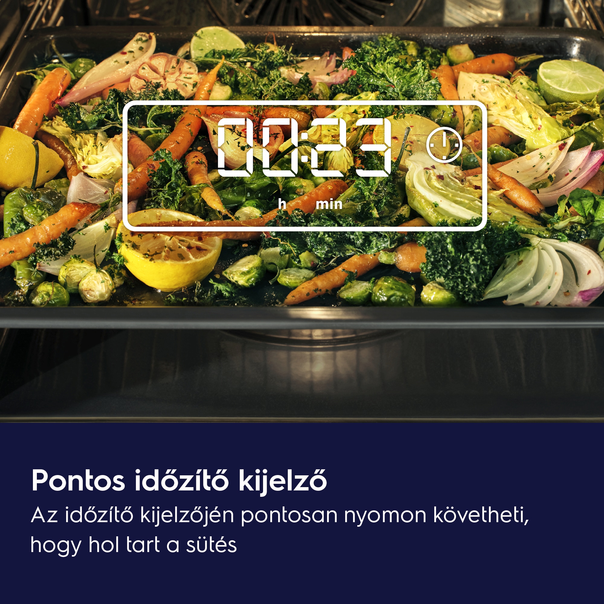 Electrolux - Gőzsütő - EOD5H70BX