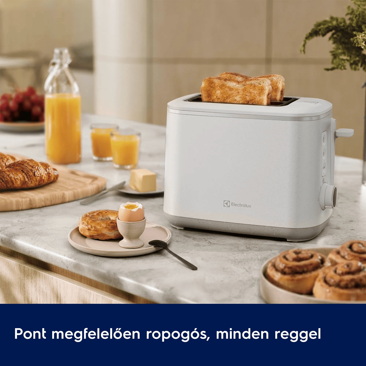 Pont megfelelően ropogós, minden reggel