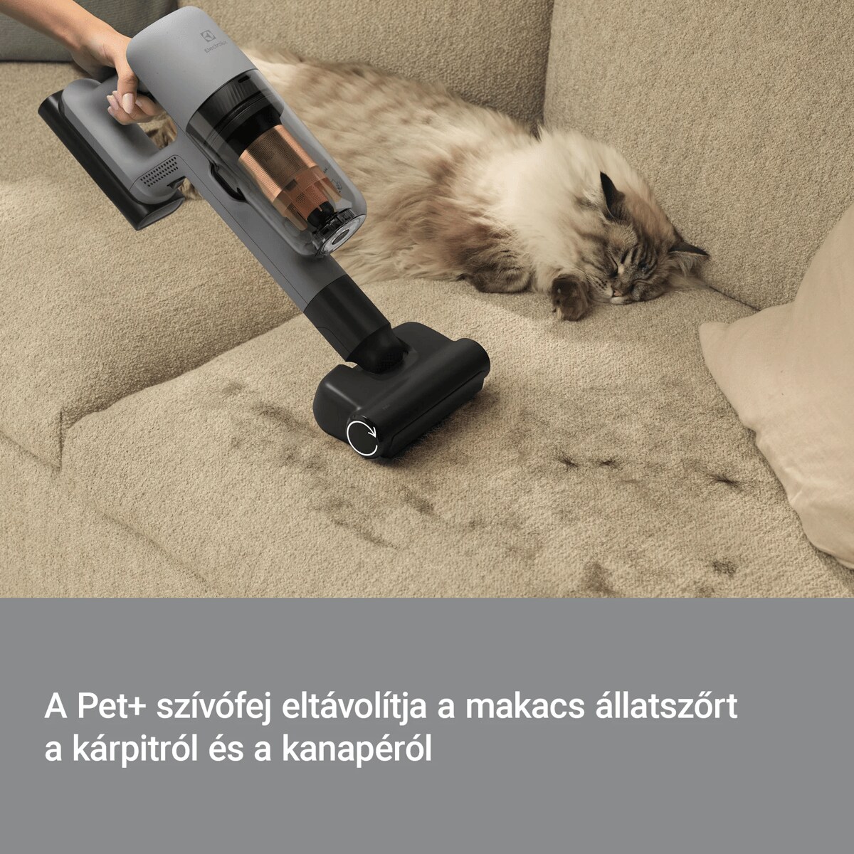 A Pet+ szívófej eltávolítja a makacs állatszőrt a kárpitról és a kanapéról