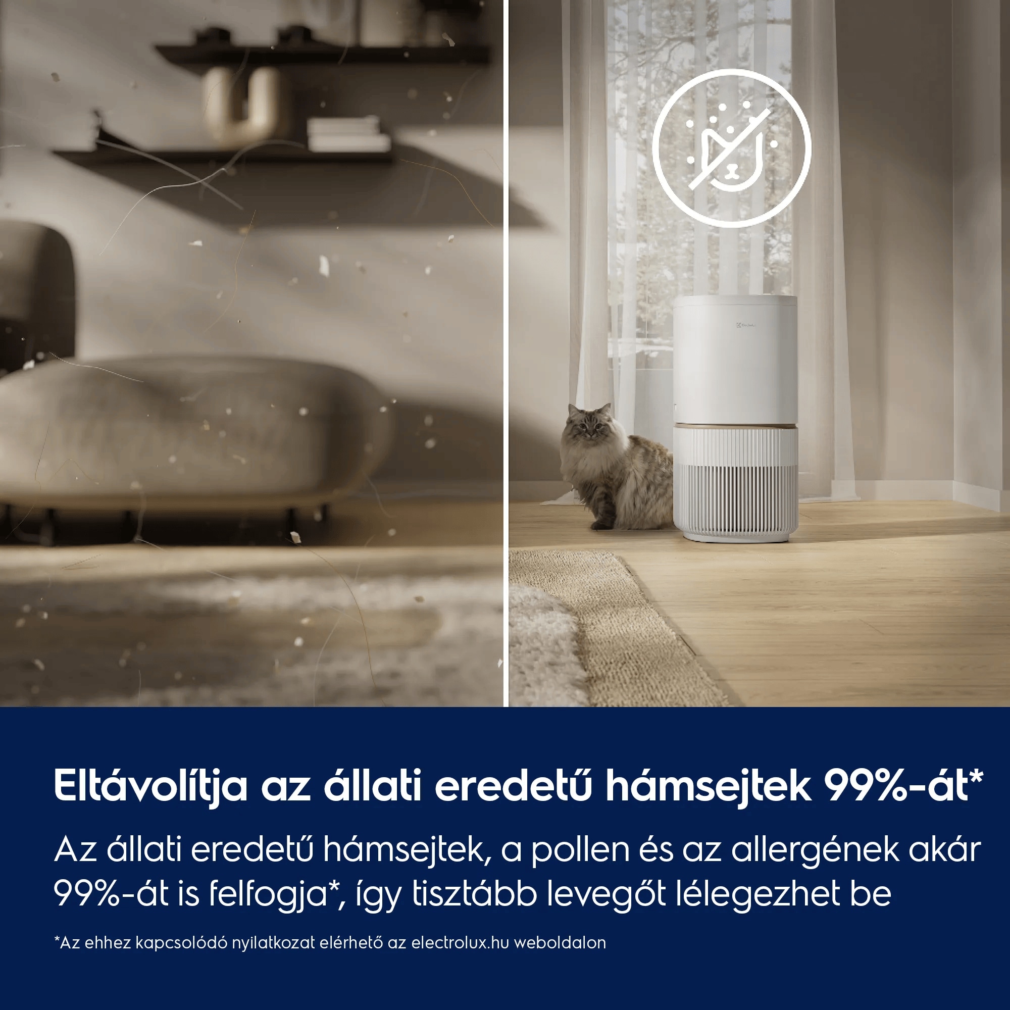 Eltávolítja az állati eredetű hámsejtek 99%-át*  Az állati eredetű hámsejtek, a pollen és az allergének akár 99%-át is felfogja*, így tisztább levegőt lélegezhet be     *Az ehhez kapcsolódó nyilatkozat elérhető az electrolux.hu weboldalon