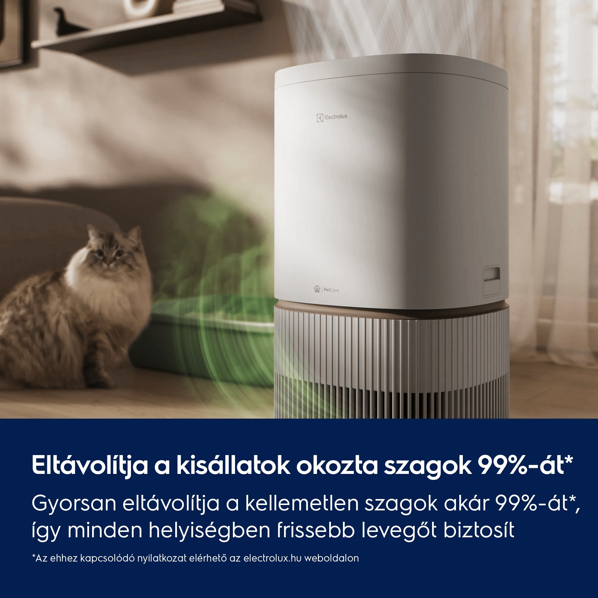 Eltávolítja a kisállatok okozta szagok 99%-át*  Gyorsan eltávolítja a kellemetlen szagok akár 99%-át*, így minden helyiségben frissebb levegőt biztosít     *Az ehhez kapcsolódó nyilatkozat elérhető az electrolux.hu weboldalon