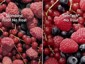 Different berries displayed in different condition.